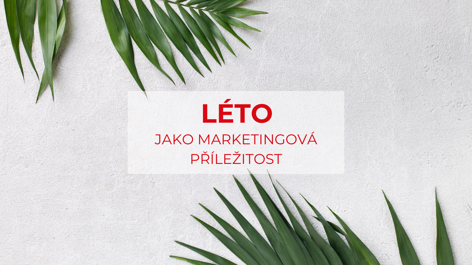 LÉTO jako příležitost