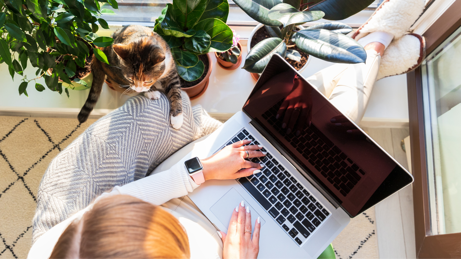 surface nový článek